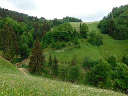 Sirarstvo Secnik (2)